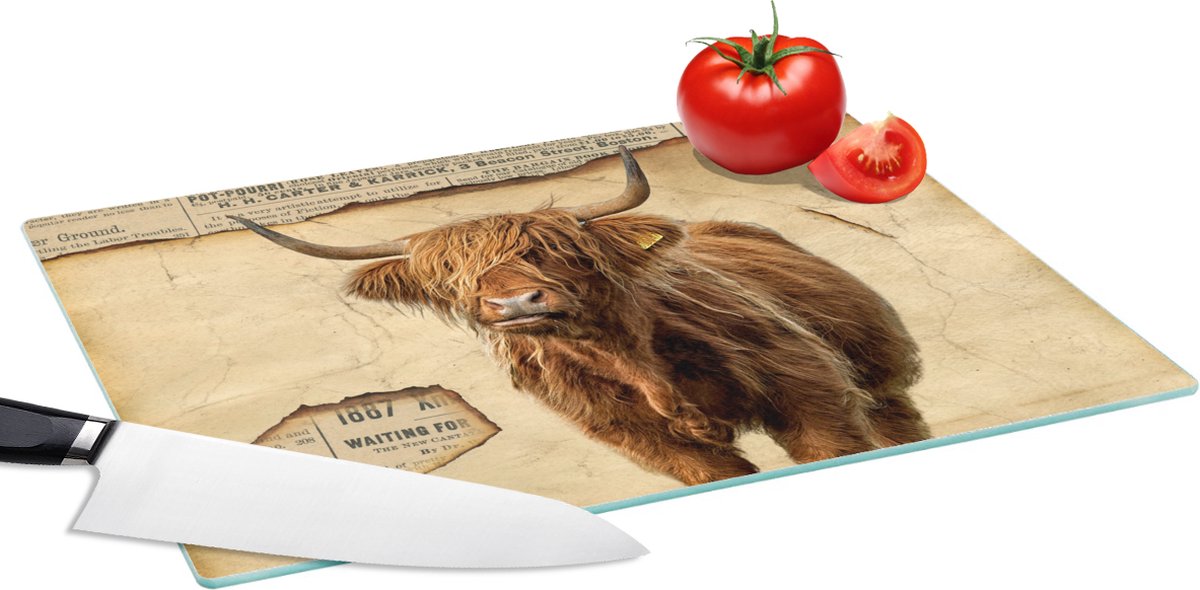 Glazen Snijplank - 39x28 - Hooglander - Vintage - Krant - Snijplanken Glas