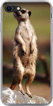 Geschikt voor iPhone SE 2020 hoesje - Stokstaartje - Dier - Wild - Siliconen Telefoonhoesje