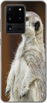Geschikt voor Samsung Galaxy S20 Ultra hoesje - Stokstaartje - Dier - Wild - Siliconen Telefoonhoesje