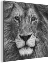 Wanddecoratie Metaal - Aluminium Schilderij Industrieel - Perzische leeuw op zwarte achtergrond in zwart-wit - 20x20 cm - Dibond - Foto op aluminium - Industriële muurdecoratie - Voor de woonkamer/slaapkamer