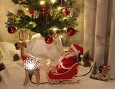 Handgemaakte duurzame kokosnoot nachtlamp rendier met slee (kerstman niet inbegrepen) – Eco-Friendly Handmade night lamp reindeer with sleigh standing (Santa not included)