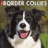 JUST BORDER COLLIES 2022 WALL