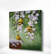 Painting Expert® Schilderen op nummer Volwassenen - Schilderen op nummer Kinderen - Gele Vogeltjes met Witte Bloemen - 40x50cm - Exclusief Lijst (24 kleurtjes)