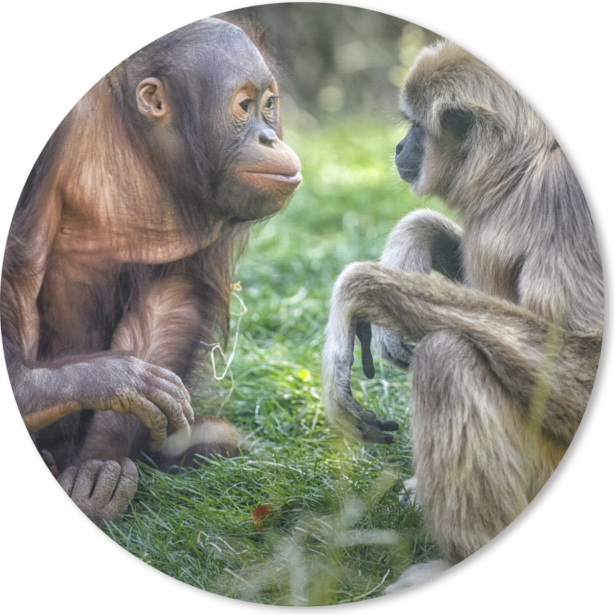 Muismat - Mousepad - Rond - Apen - Dieren - Familie - 20x20 cm - Ronde muismat