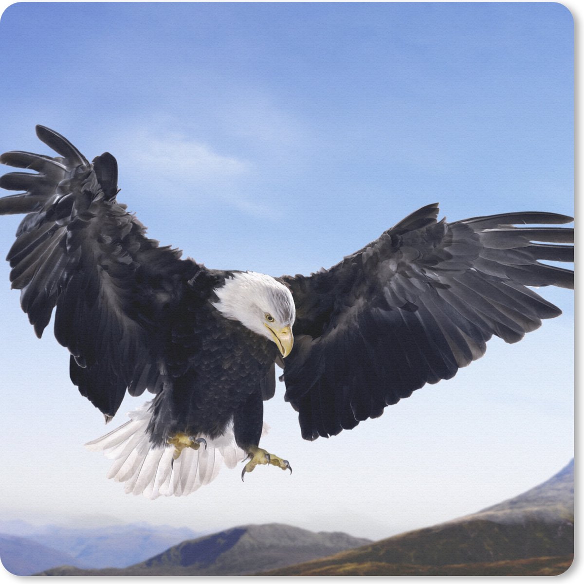 Muismat 30x30 cm - Mousepad Een Amerikaanse zeearend wil landen - Muismatten