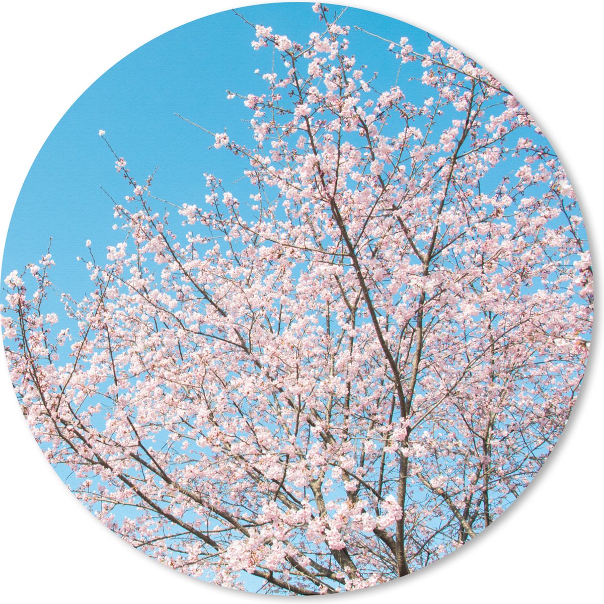 Muismat rond 40x40 cm - Mousepad Kersenboom - Japan - Bloesem - Ronde muismatten