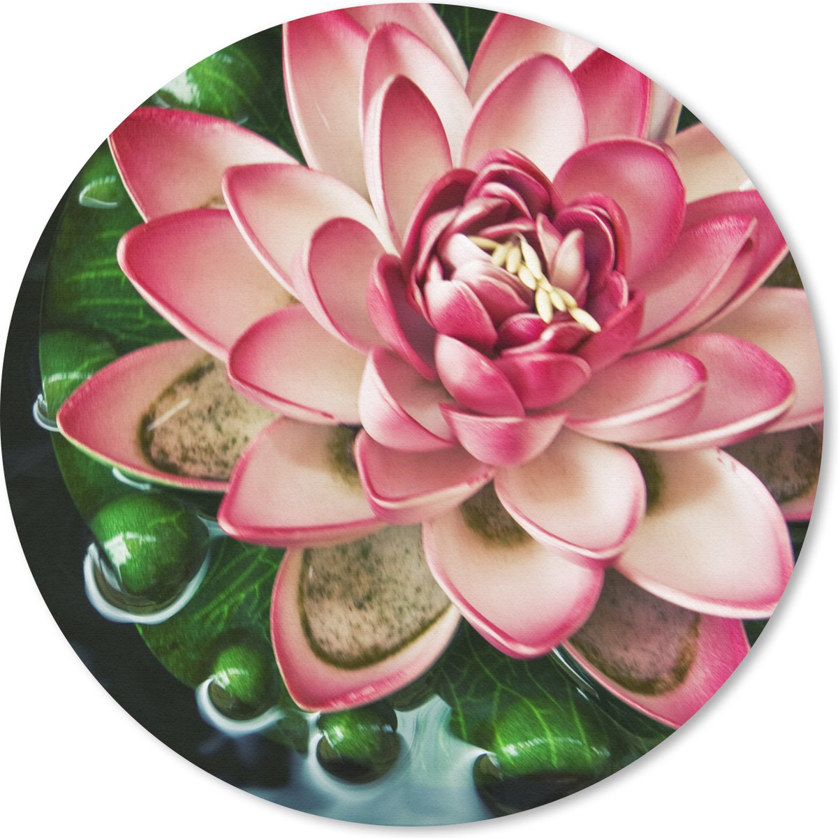 Muismat rond 40x40 cm - Mousepad Een koi karper met een roze bloem - Ronde muismatten