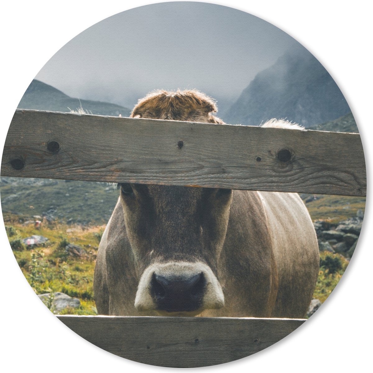Muismat rond 20x20 cm - Mousepad Koe - Mist - Hek - Ronde muismatten