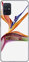 Geschikt voor Samsung Galaxy A71 hoesje - Strelitzia - Aquarel - Bloemen - Siliconen Telefoonhoesje