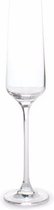 Champagneglas 19cl Charisma - set/4