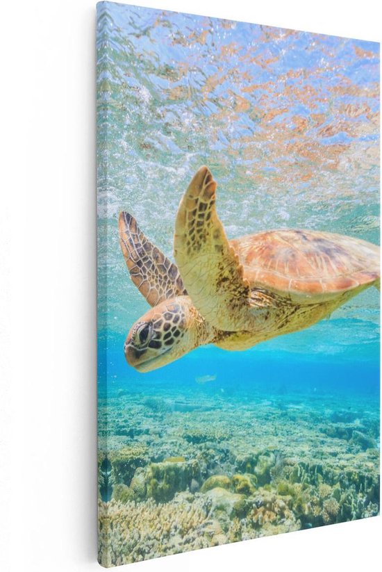 Artaza Canvas Schilderij Schildpad Zwemt in de Zee bij het Rif - 60x90 - Foto Op Canvas - Canvas Print