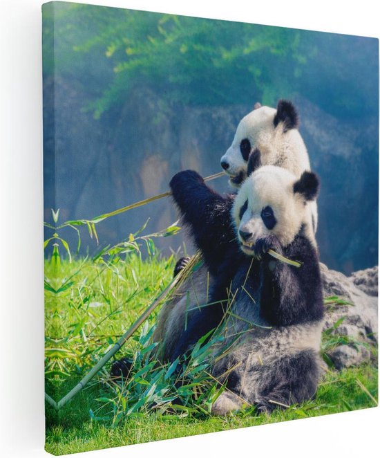 Artaza Canvas Schilderij Twee Panda's Eten Bamboe Riet - 30x30 - Klein - Foto Op Canvas - Canvas Print