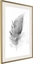 Poster Lost Feather (Grey) 30x45