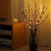 Ensemble Branches de Saule de Noël - 20 LED - Blanc Chaud
