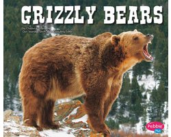North American Animals - Grizzly Bears