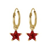 Joy|S - Zilveren ster bedel oorbellen - kristal rood - oorringen - 14k goudplating