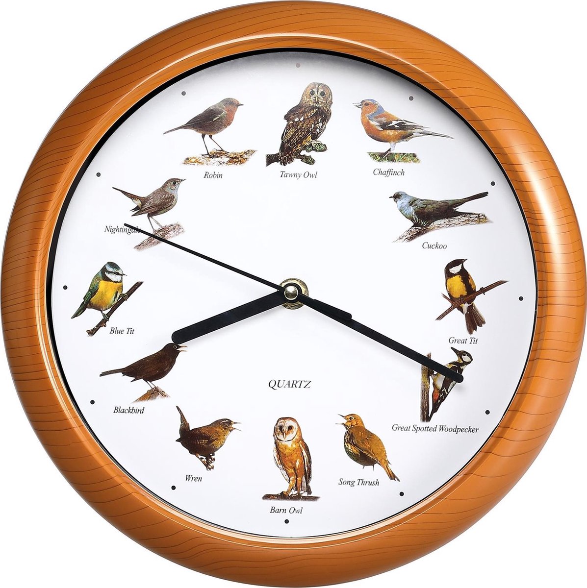 Horloge murale musicale ronde Ø25cm 12 véritables chant d'oiseaux Horloge  oiseau | bol.com