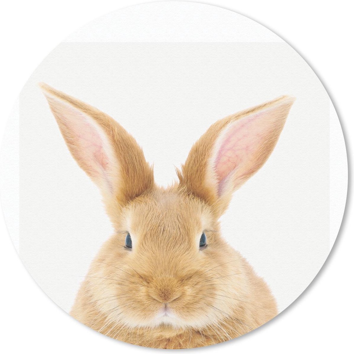 Muismat rond 40x40 cm - Mousepad Dieren - Konijn - Wit - Ronde muismatten