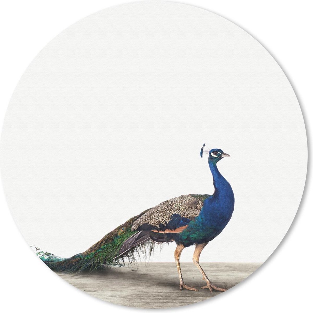 Muismat rond 50x50 cm - Mousepad Dieren - Pauw - Wit - Ronde muismatten