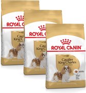Royal Canin Bhn Cavalier King Charles Adult - Nourriture pour chien - 3 x 1,5 kg