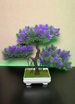 Argibi - Bonsai - Violet