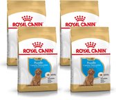 Royal Canin Bhn Poodle Puppy - Nourriture pour chiens - 4 x 3 kg