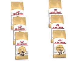 Royal Canin Maine Coon Adult - Kattenvoer - 6 x 400 g
