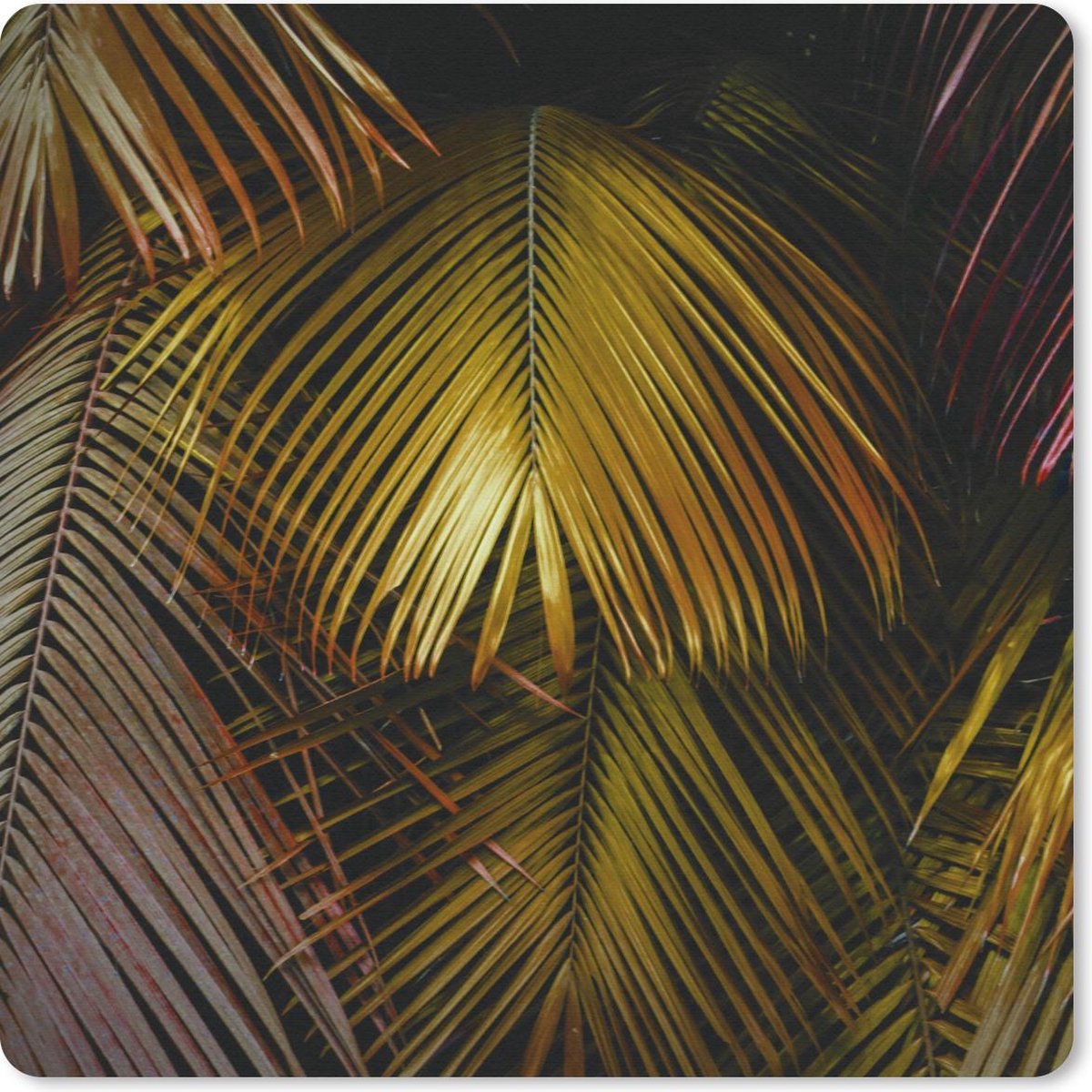 Muismat 30x30 cm - Mousepad Jungle - Palmboom - Goud - Muismatten