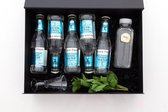 MiMa Amsterdam - mocktailbox 6 personen - Virgin Gin Tonic Munt