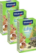 Vitakraft Lofty's Rodent - 3 pcs à 100 gr - Snack pour rongeurs