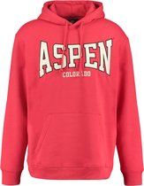 America Today Sport Hood - Heren Hoodie - Maat M