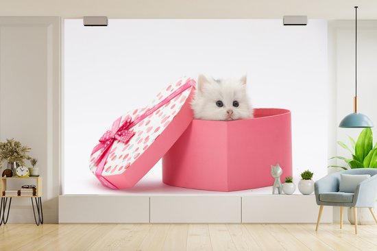 Papier peint photo vinyle - Un gros plan d'un chaton d'un présent largeur 450 cm x hauteur 300 cm - Tirage photo sur papier peint (disponible en 7 tailles)