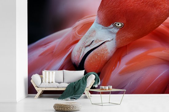 Papier peint photo peint vinyle - Gros plan d'un flamant rose largeur 330 cm x hauteur 220 cm - Tirage photo sur papier peint (disponible en 7 tailles)