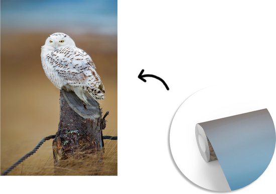 Papier peint photo vinyle - Harfang des neiges perché sur une souche d'arbre largeur 150 cm x hauteur 220 cm - Tirage photo sur papier peint (disponible en 7 tailles)