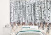 Behang - Fotobehang Wit met zwart gekleurde boomstammen in de droge natuur - Breedte 275 cm x hoogte 220 cm