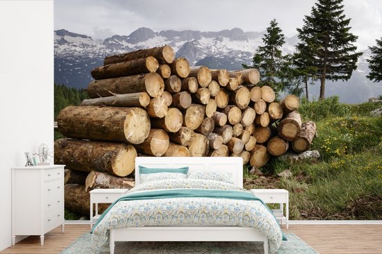 Papier fotobehang Plusieurs troncs d'arbres sont empilés dans un paysage de montagne enneigé