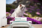 Behang - Fotobehang Een witte ragdoll kat zit in een bed van roze bloemen - Breedte 390 cm x hoogte 260 cm