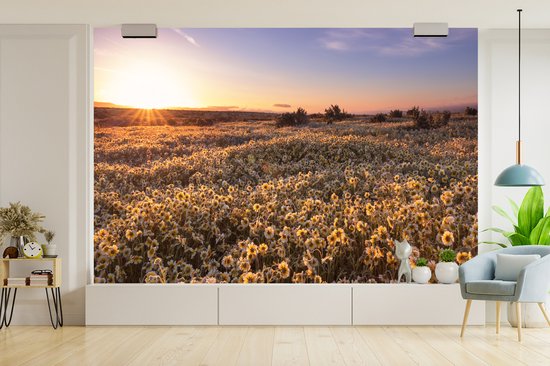 Champ de fleurs vallonné au crépuscule 330x220 cm