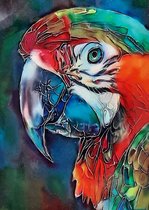 Denza - Diamond painting papagaaien kop 40 x 50 cm volledige bedrukking ronde steentjes - direct leverbaar - nieuw - natuur - papagaai - gekleurd - zeer mooi - parkiet -vogel kooi