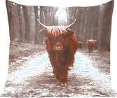 Sierkussens - Kussentjes Woonkamer - 40x40 cm - Schotse hooglander - Bos - Koe - Dieren - Natuur
