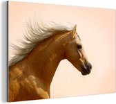 Wanddecoratie Metaal - Aluminium Schilderij Industrieel - Paard - Licht - Lucht - 90x60 cm - Dibond - Foto op aluminium - Industriële muurdecoratie - Voor de woonkamer/slaapkamer