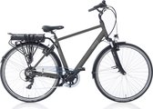Villette la Joie e-bike 7 speed H54 coalgrey