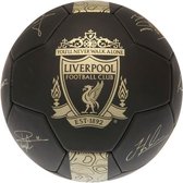 Liverpool voetbal handtekeningen - maat 5 -  phantom zwart/goud