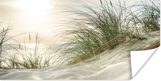 Affiche Dunes avec ammophile sous le soleil du parc national allemand Schleswig-Holsteinisches Wattenmeer - 80x40 cm