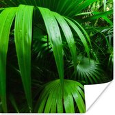 Poster Palmbladen in de jungle - 100x100 cm XXL