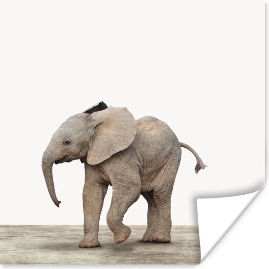Wereldrecord Guinness Book Munching plank Poster kinderen - Baby olifant - Dieren - Olifant - Kinderen - Meiden -  Jongens -... | bol.com