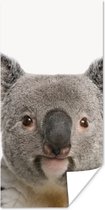 Poster kinderen - Koala - Koala beer - Meisjes - Jongens - Kinderen - Dieren - Wanddecoratie meisjes - 60x120 cm - Decoratie voor kinderkamers - Poster kinderkamer