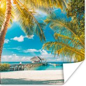 Poster Tropisch - Strand - Palmboom - 30x30 cm