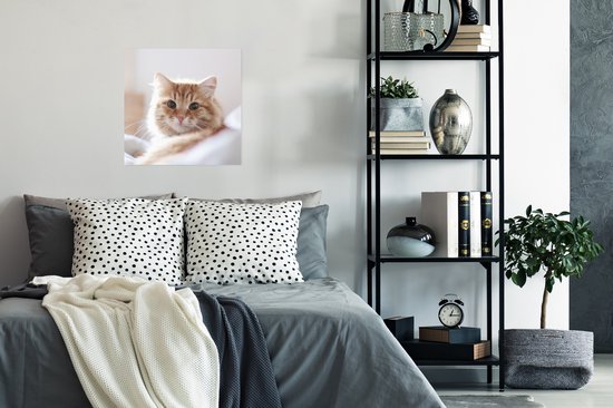 Poster Chat - Rouge - Lit - 50x50 cm