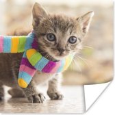 Poster Kitten - Sjaal - Kleuren - Meisjes - Kinderen - Jongens - Kindje - 30x30 cm